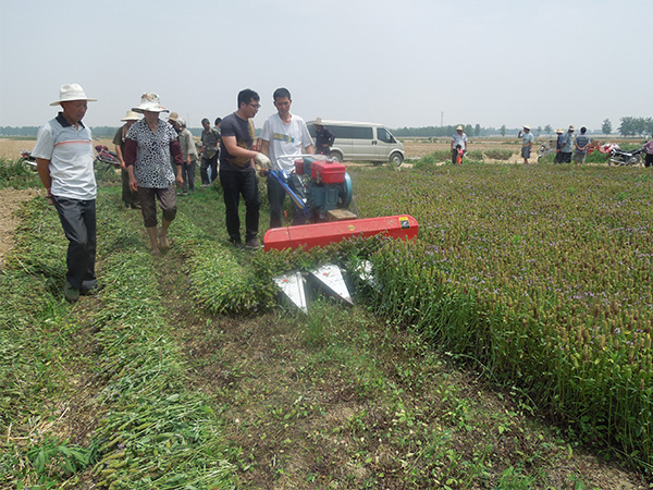 夏枯草收割機(jī)多少錢一臺(tái)